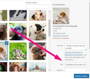 Printscreen van WordPress met een roze pijn naar het invulveld voor de afbeeldingstitel